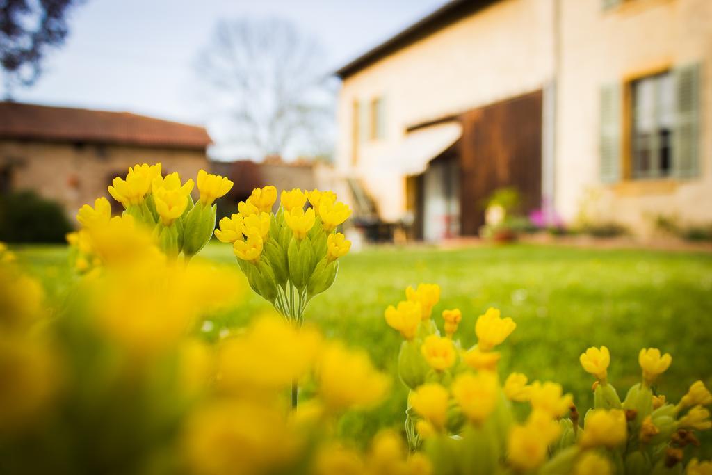 Bed and Breakfast Aux Ronzieres Pouilly-sous-Charlieu Номер фото