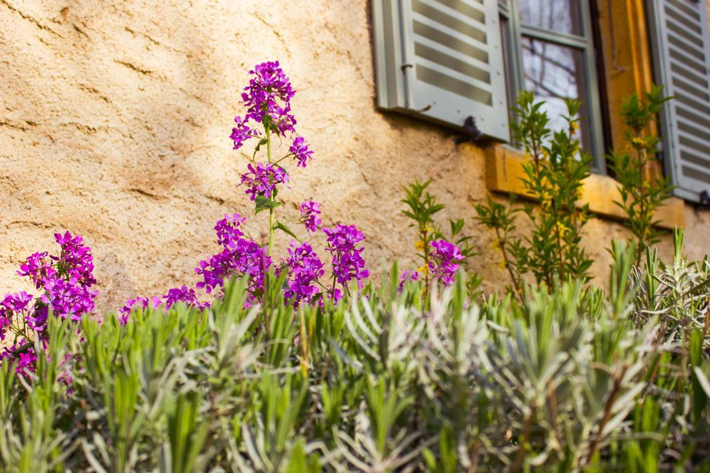 Bed and Breakfast Aux Ronzieres Pouilly-sous-Charlieu Номер фото